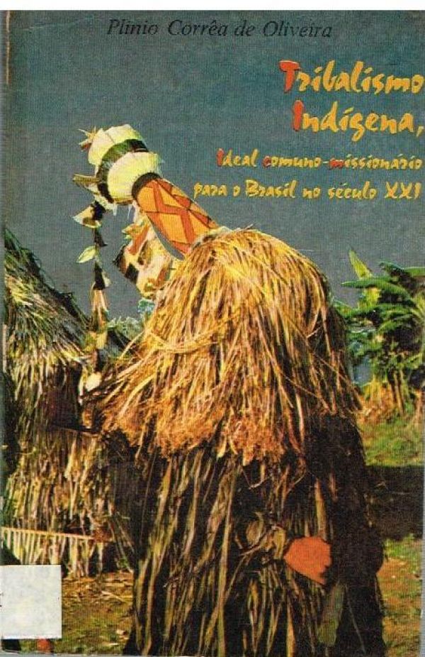 Tribalismo Indígena, ideal comuno-missionário para o Brasil do Século XXI